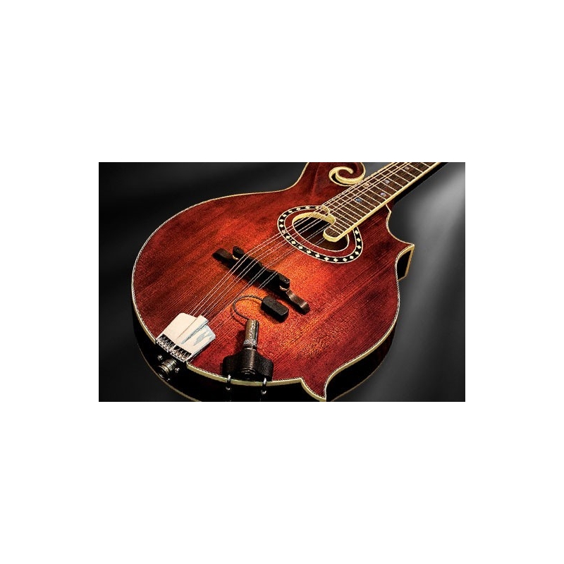 L. R. Baggs Radius Mandolin Pickup