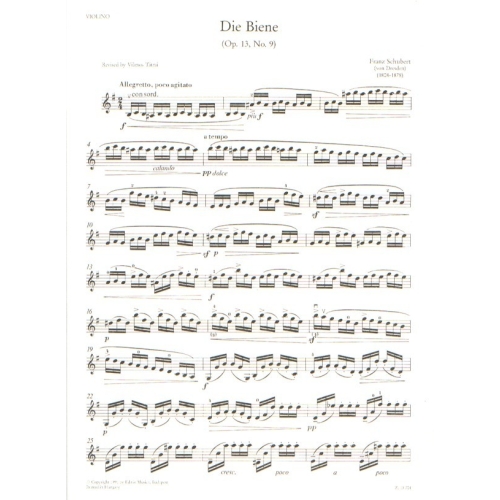 Schubert, F. (von Dresden) - The Bee