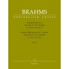 Brahms, Johannes - Sonata Movement in C minor