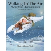 Blake, Howard - Walking In The Air (The Snowman) Recorder/Piano