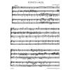 Telemann G.P. - Methodical Sonatas, Vol. 2: E minor, D (Urtext).