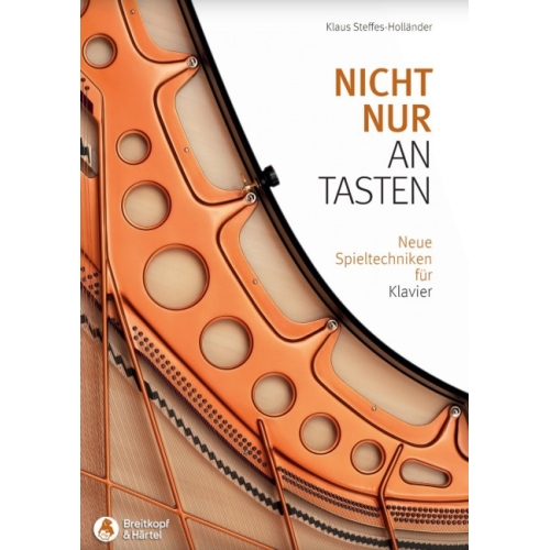 Steffes-Hollaender, Klaus - Nicht nur an Tasten 