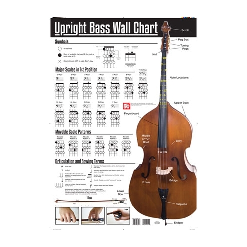 Upright Bass Wall Chart