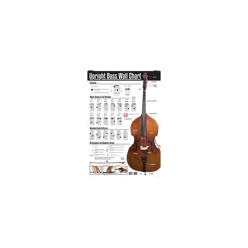 Upright Bass Wall Chart