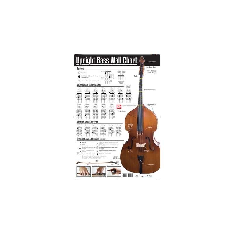Upright Bass Wall Chart