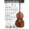 Upright Bass Wall Chart