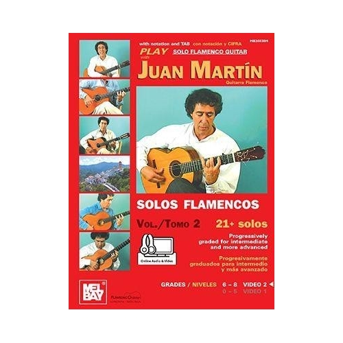Play Solo Flamenco Guitar...