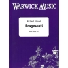 Stroud, Richard - Fragmenti