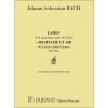 Bach, J.S - Largo 5 Sonate Violon Et Air 30 Cantatepiano