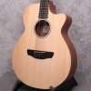 Faith Venus Naked 12 String Acoustic Guitar