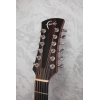 Faith Venus Naked 12 String Acoustic Guitar