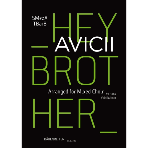 Avicii - Hey Brother
