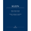 Gideon Klein - Sonata - Landscape