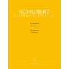 Franz Schubert - Fantasies For Piano