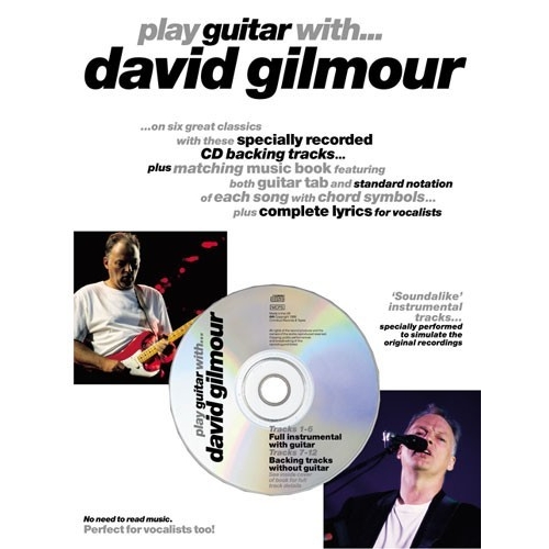 Play Guitar With... David Gilmour