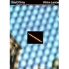 Gray, David - White Ladder