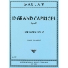 Gallay, Jaques Francois - 12 Grand Caprices op. 32 