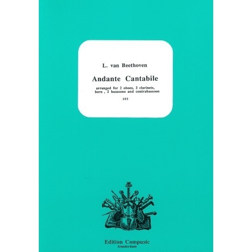 Beethoven, Ludwig - Andante...
