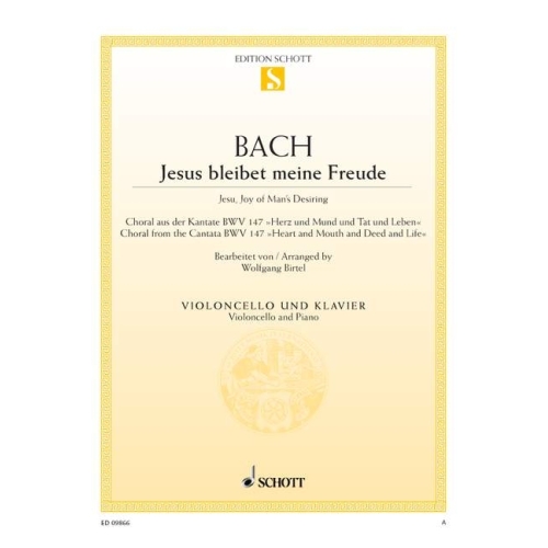 Bach, J.S - Jesu, Joy of...