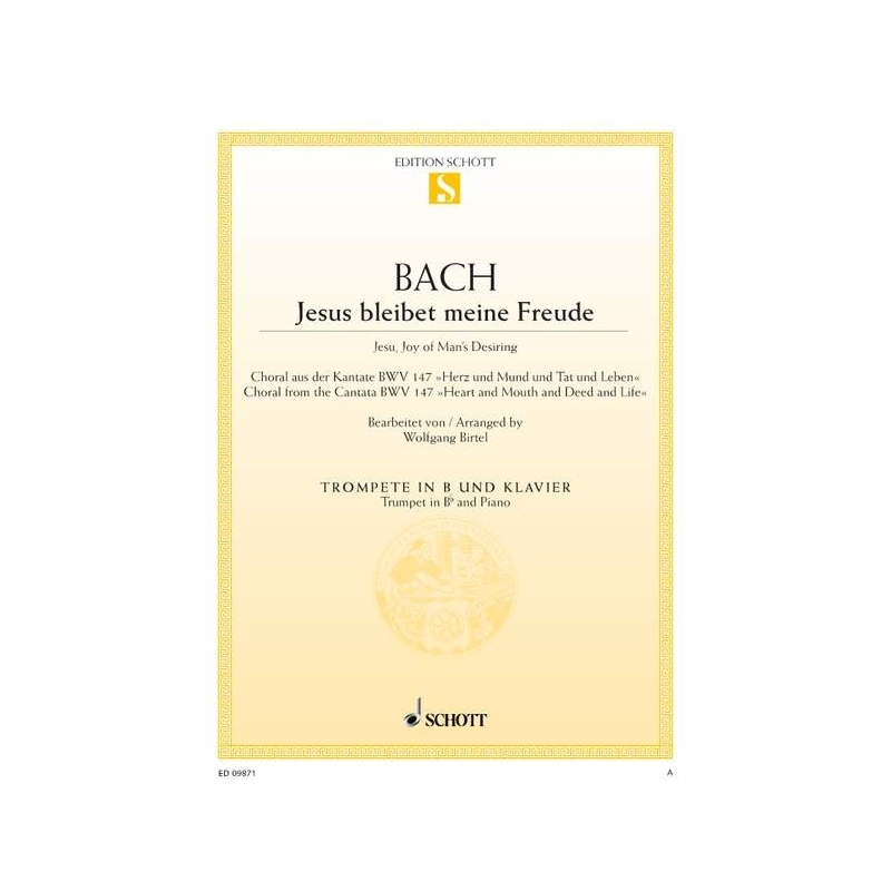 Bach, J.S - Jesu, Joy of Man's Desiring BWV 147