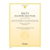 Bach, J.S - Jesu, Joy of Man's Desiring BWV 147