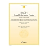 Bach, J.S - Jesu, Joy of Man's Desiring BWV 147 