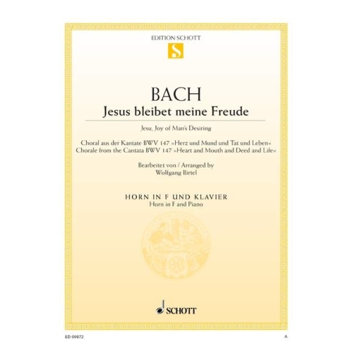 Bach, J.S - Jesu, Joy of...