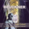 Bruckner, Anton - Organ Works 