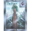 Olson, Lynn Freeman - The Pines