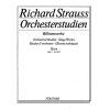 Strauss, Richard - Orchestral Studies Stage Works: Horn Vol. 3