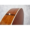 Atkin L-36 Custom Goldtop Pomelle Back and Sides