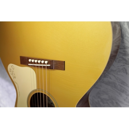 Atkin L-36 Custom Goldtop Pomelle Back and Sides