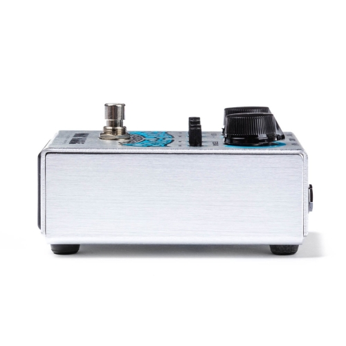 Way Huge Echo Puss Analog Delay