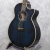 Faith Venus Blue Moon Electro Acoustic Guitar