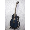 Faith Venus Blue Moon Electro Acoustic Guitar