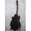 Faith Venus Blue Moon Electro Acoustic Guitar