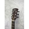 Faith Venus Blue Moon Electro Acoustic Guitar