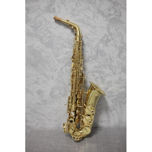 Yanagisawa AWO10 'Elite' Alto Saxophone