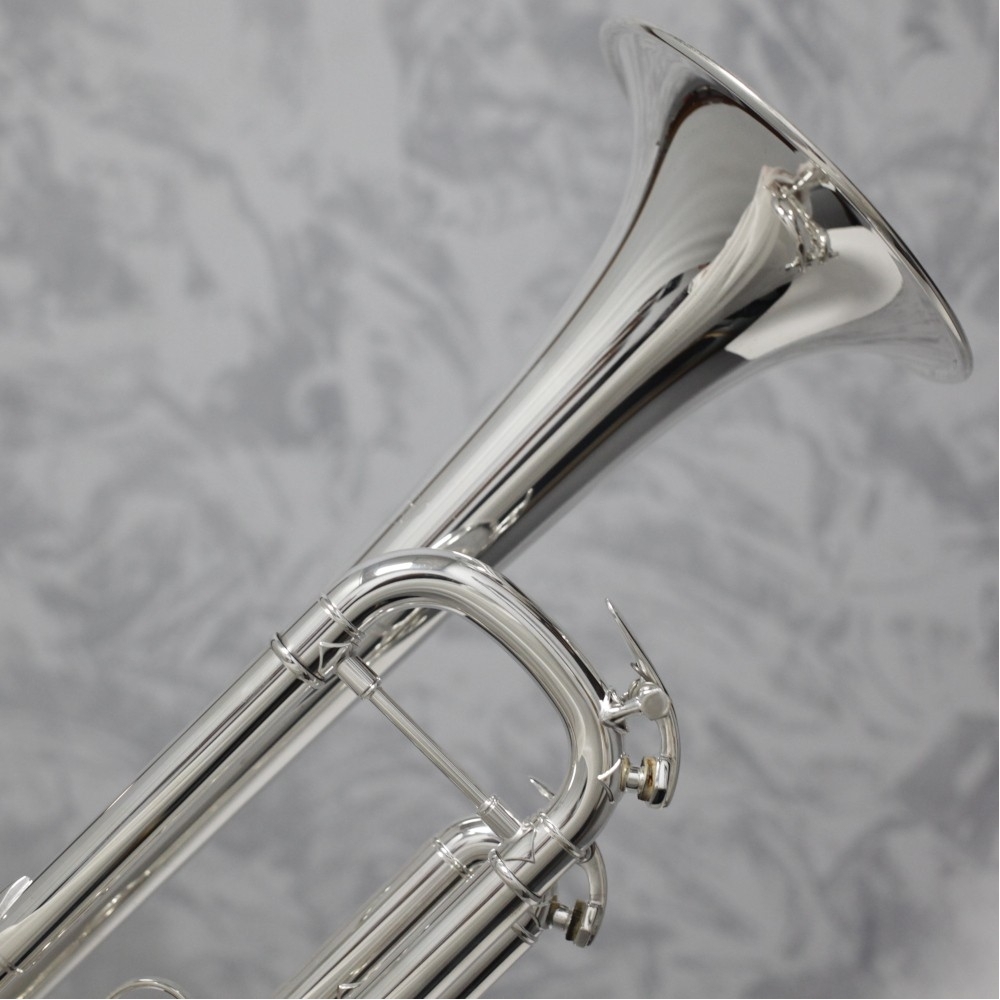 Bach clearance vbs1 trumpet