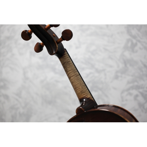 Gewa Soloist Maestro Violin