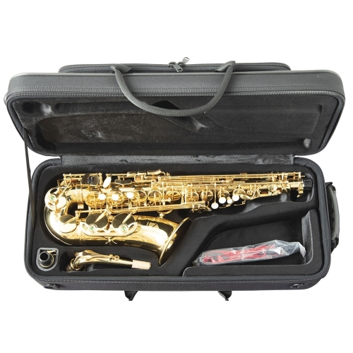 Trevor James 'The Horn' Alto Saxophone - Gold Lacquer