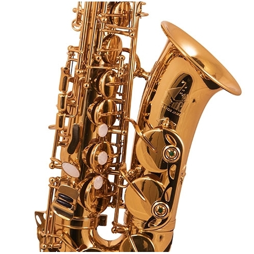 Trevor James 'The Horn' Alto Saxophone - Gold Lacquer