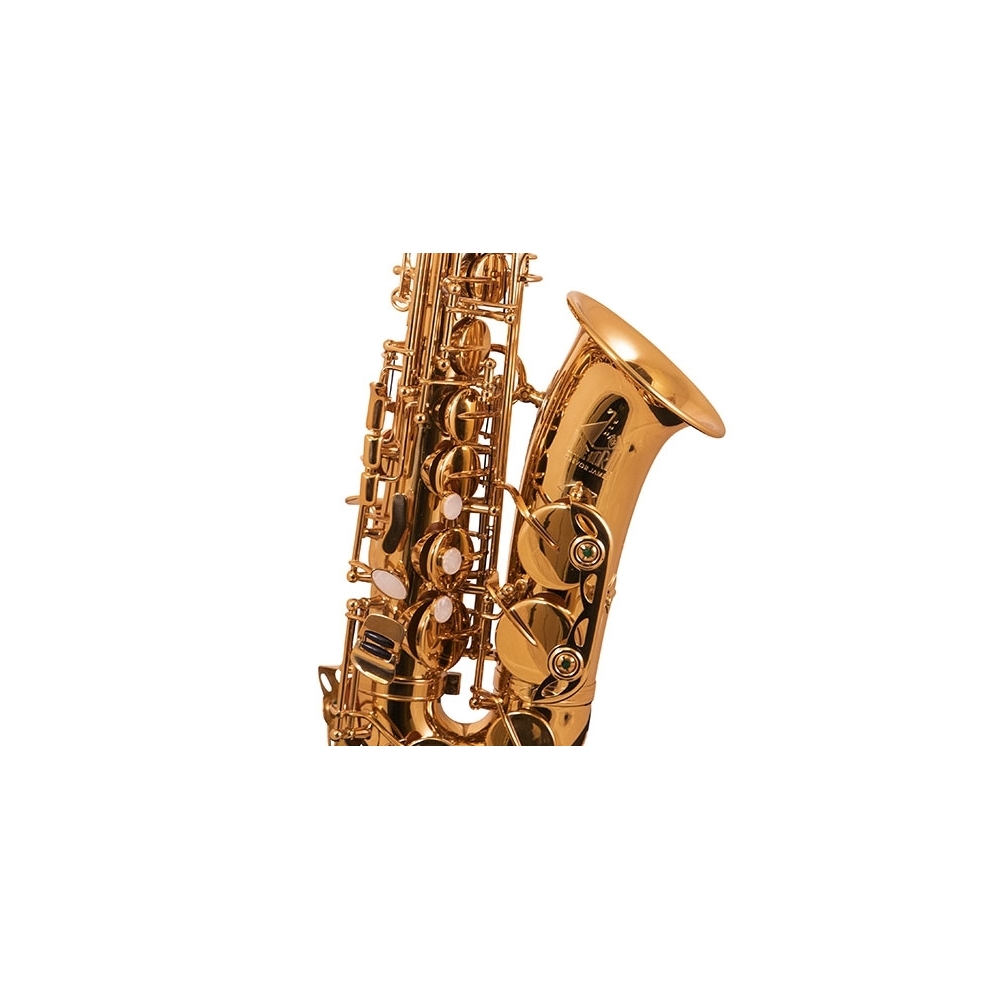 Trevor James 'The Horn' Alto Saxophone - Gold Lacquer