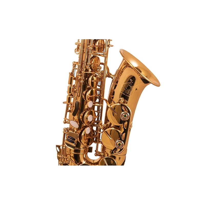 Trevor James 'The Horn' Alto Saxophone - Gold Lacquer