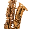 Trevor James 'The Horn' Alto Saxophone - Gold Lacquer