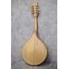 Ashbury Inishmore Mandolin