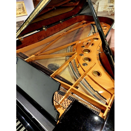 Schimmel Konzert K280T Grand Piano in Black Polyester