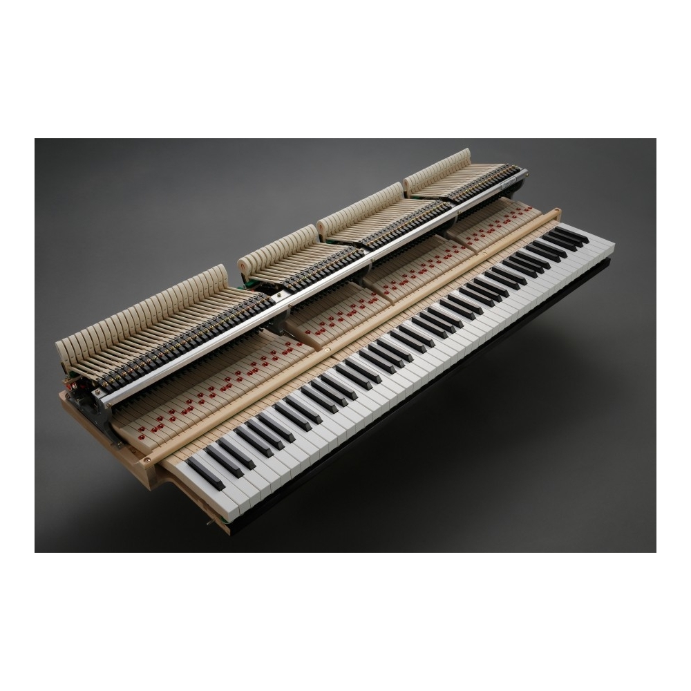 Kawai gl50 price hotsell