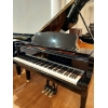 Shigeru Kawai SK2