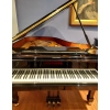W. Hoffmann Model T186 Grand Piano in Black Polyester